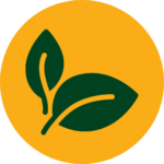 Rundes Icon für "Naturverbundenheit & Nachhaltigkeit" mit dunkelgrünem Element bestehend aus zwei dunkelgrünen Blättern, auf einem orangenen Hintergrund.