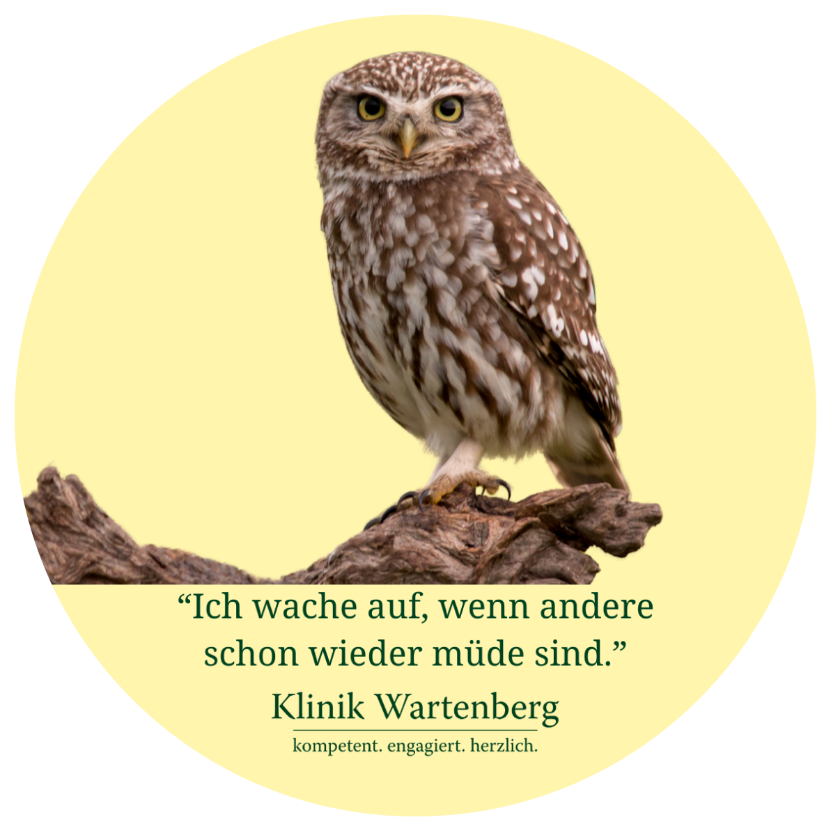 Sticker-Aktion: Chronobiologie. Runder Sticker mit einer Eule und dem Text "Ich wach auf, wenn andere schon wieder müde sind" auf gelbem Hintergrund.