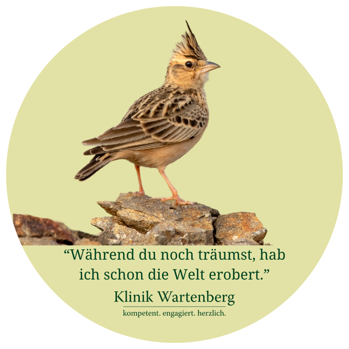 Sticker-Aktion: Chronobiologie. Runder Sticker mit einer Lerche und dem Text "Während du noch träumst, hab ich schon die Welt erobert" auf grünem Hintergrund.
