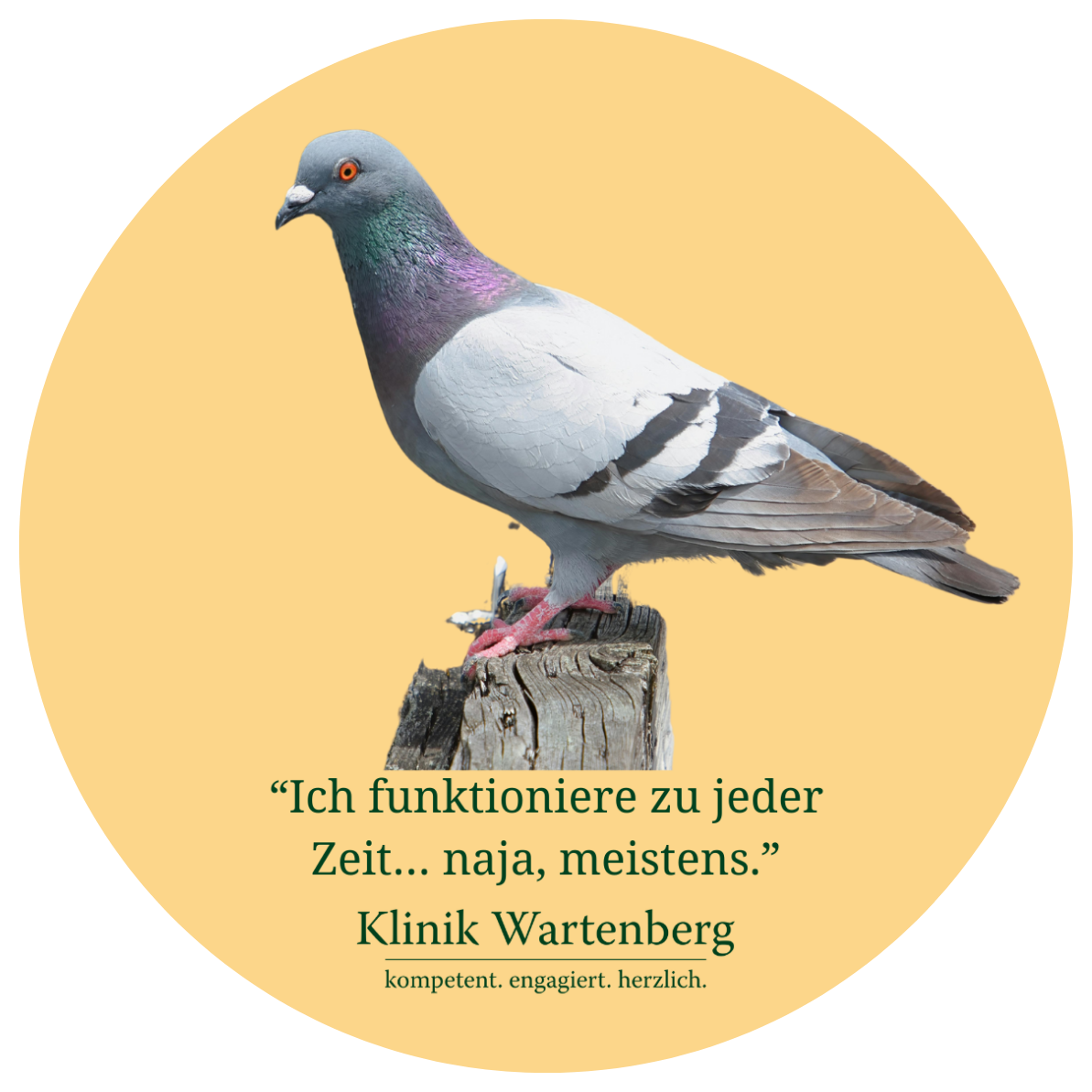 Sticker-Aktion: Chronobiologie. Runder Sticker mit einer Taube und dem Text "Ich funktioniere zu jeder Zeit... naja, meistens" auf orangenem Hintergrund.